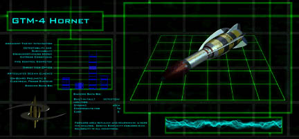 hornet.jpg (27162 bytes)