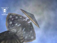 dcss17sm.jpg (6212 bytes)